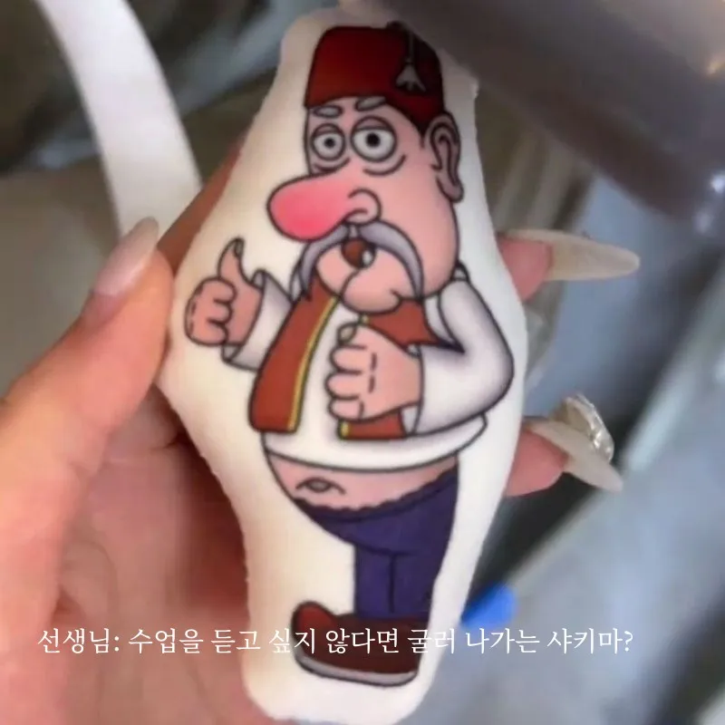 Same Sle with TikTok Shaweima Voice Keychain Singing Funny Pendant Creative Doll