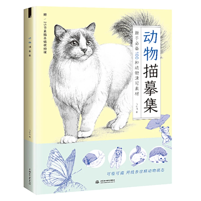 Painting Drawing Art Book For Beginner
