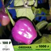 Изображение товара 0