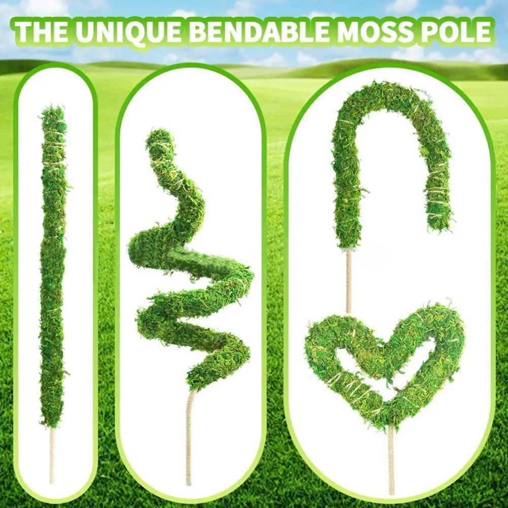 

Износостойкий легкий гибкий мох DIY для подъема растений