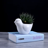 vase succulents cartoon cute animal white flowerpot ceramic simple creative micro landscape garden balcony fleshy flower