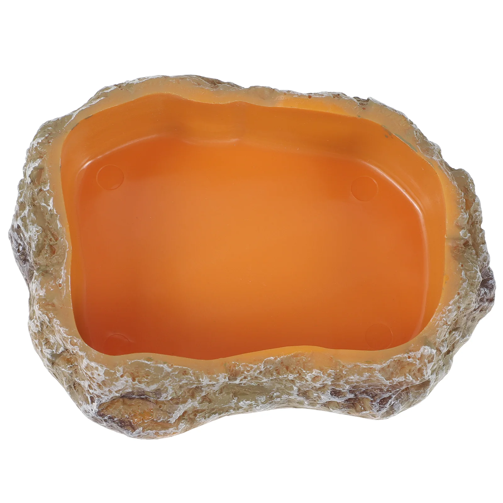 

Pet Feeding Bowl Amphibia Merch Reptile Food Water Dish Decorative Climbing Resin Dishes Holder Crawler Plate Supply