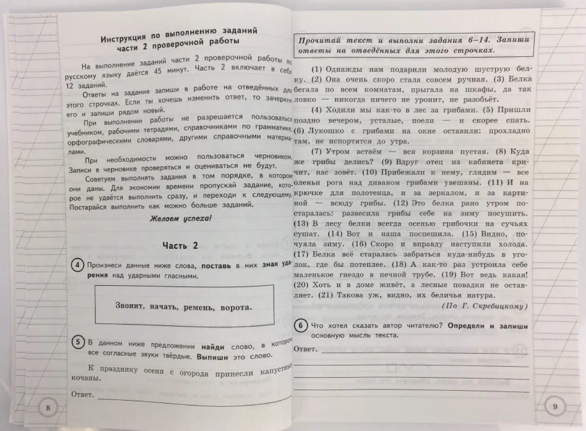 Книга Волкова Е.В. Русский язык. Всероссийская проверочная работа за курс