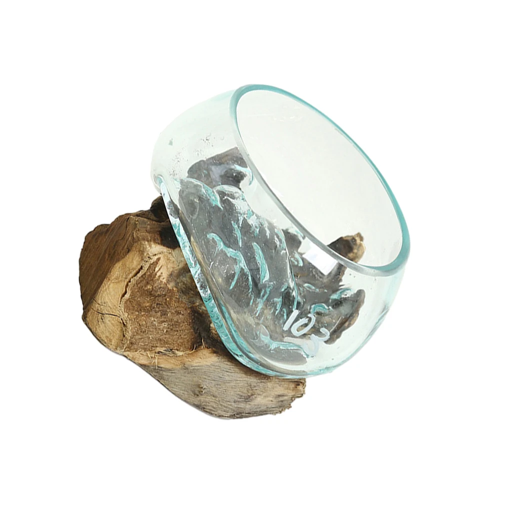 

Driftwood Terrariums Functional And Decorative Planters For Stylish Look Unique And Eye-catching