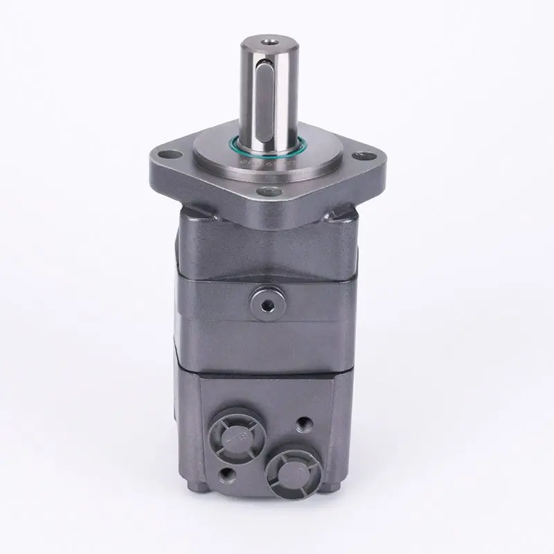 BMS/OMS-250 315 400 Гидравлический двигатель 200 Масляный Литьевая машина Плавильный