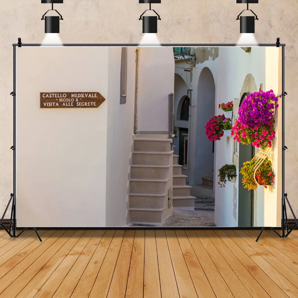 

Green Plants and Traditional Houses With Spring Flowers on the Streets of the Small Town Photography Background Prop XZ-09