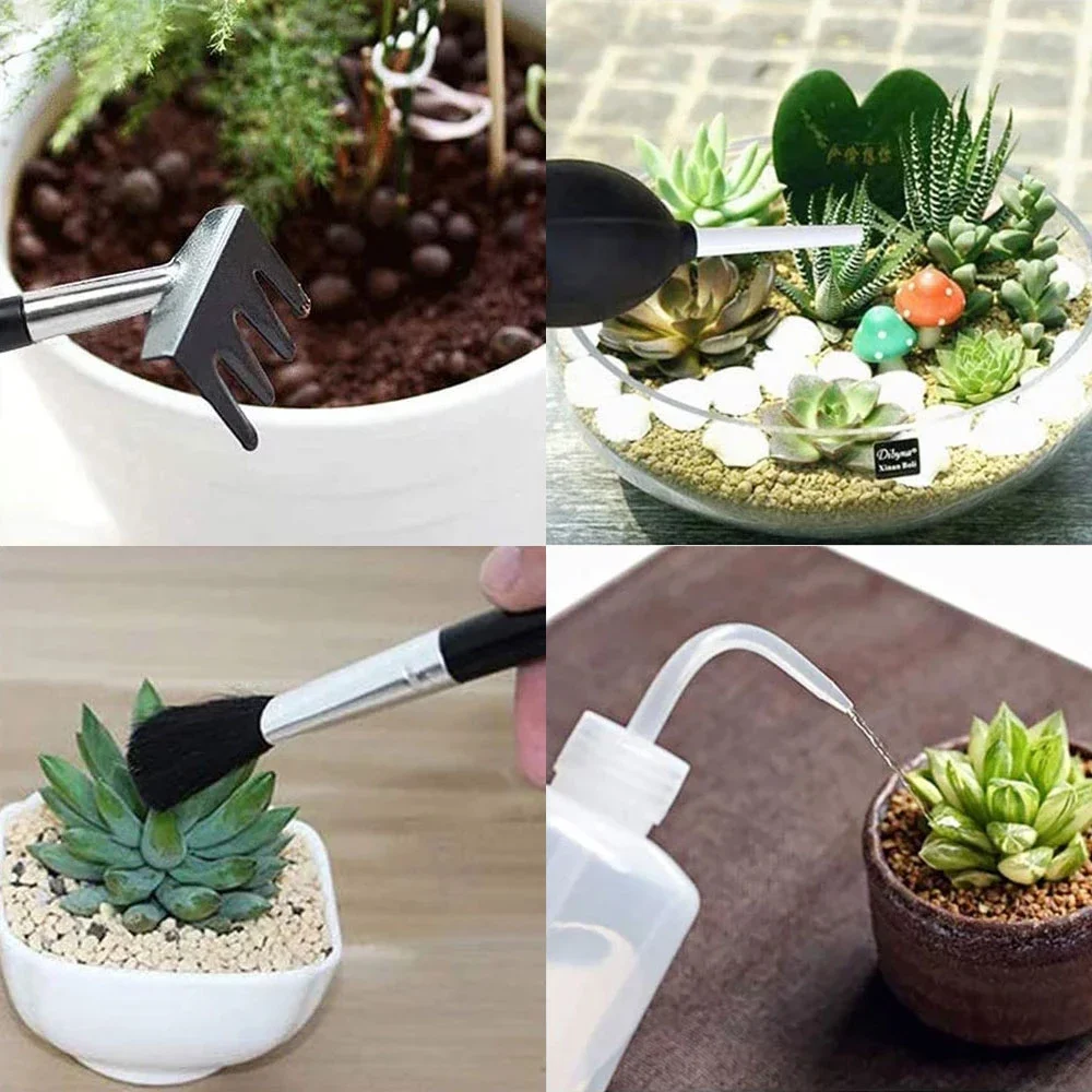 Succulent Plants Tool Set for Indoor Plant Home Garden Kit Black Potting Cactus Houseplant Cultivation Tools Gardenning Kits images - 6