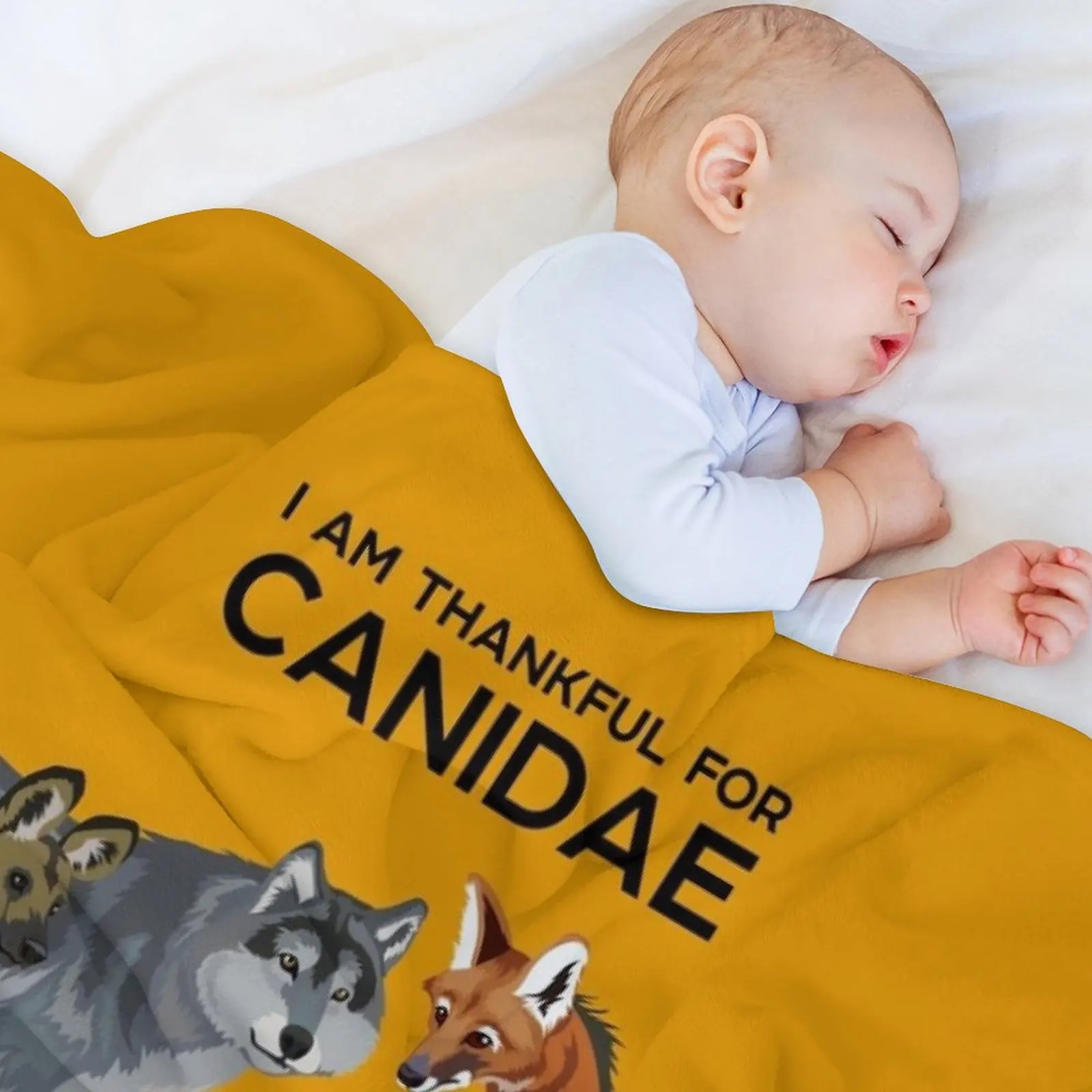 Я благодарен за одеяло для дивана кровать декоративных диванов