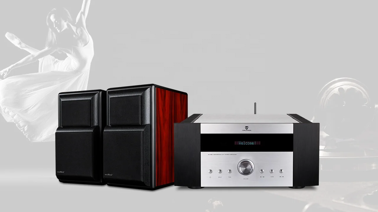 ToneWinner AD-99D Hi-Fi усилитель с предусилителем USB TF-картой аудио APE FLAC WAV мощности