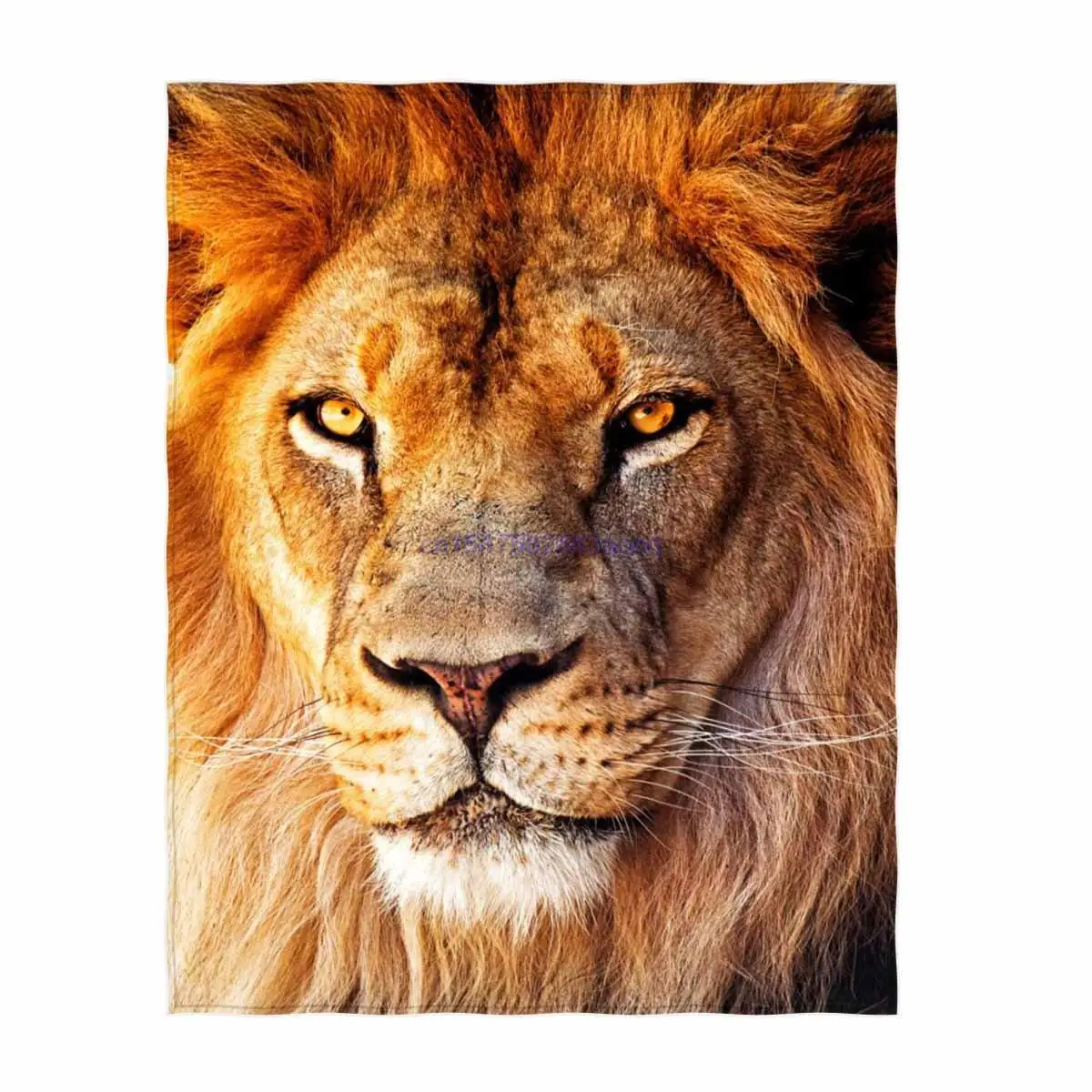 

Lion Printing Velvet Plush Throw Blanket Comfort Design Home Decoration Fleece Blanket Perfect for Couch Sofa or Travelling (2)