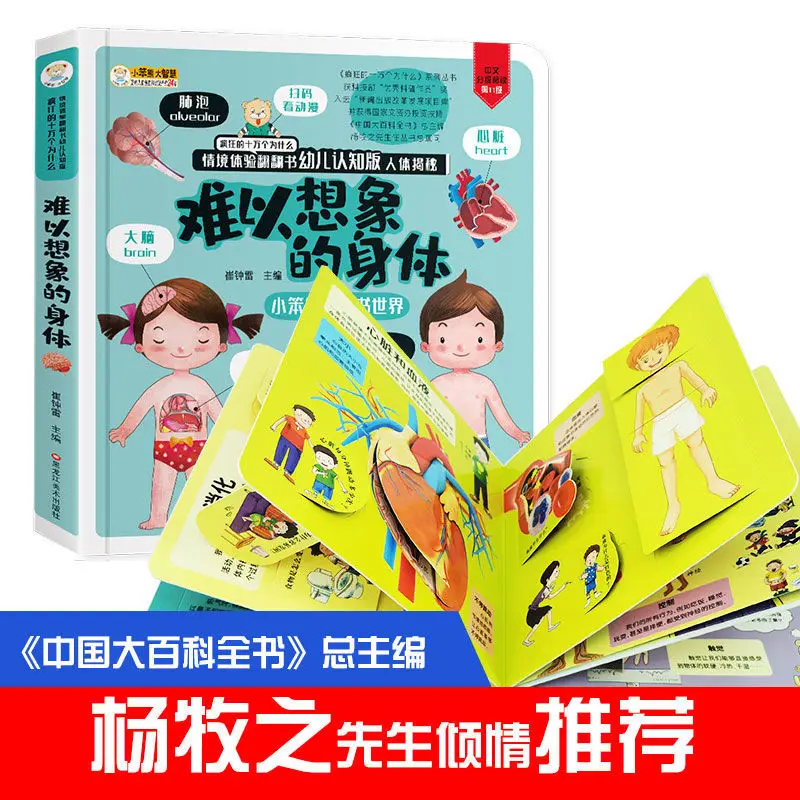 

Early childhood education cognitive enlightenment three-dimensional flip book reveals the human body children's popular science