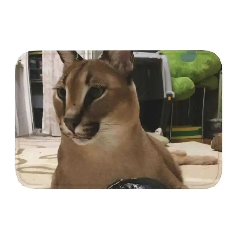 

Большой дверной коврик Floppa Meme, противоскользящий зеркальный напольный дверной коврик для туалета