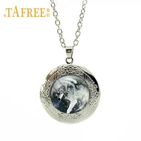 2018 new nordic wolf necklace locket pendant jewelry glass norse wolf photo cabochon necklace animal jewelry fq250