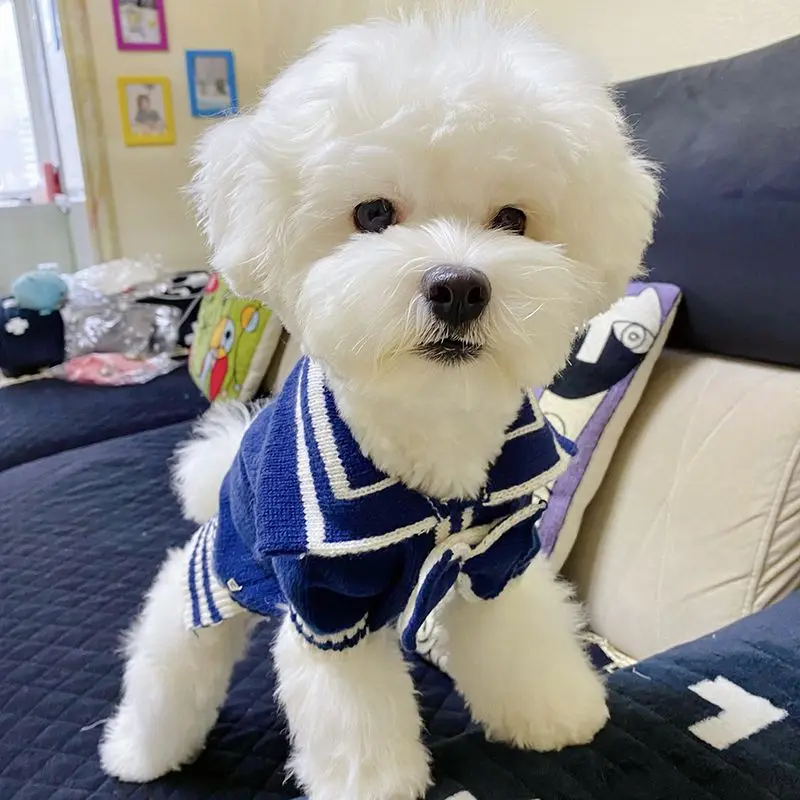 

Cute Dog Clothes Blue Warm Sweater Pet Autumn Winter Jacket Bichon Teddy Poodle Yorkshire Puppy Cat Costume Small Dog Clothes XS