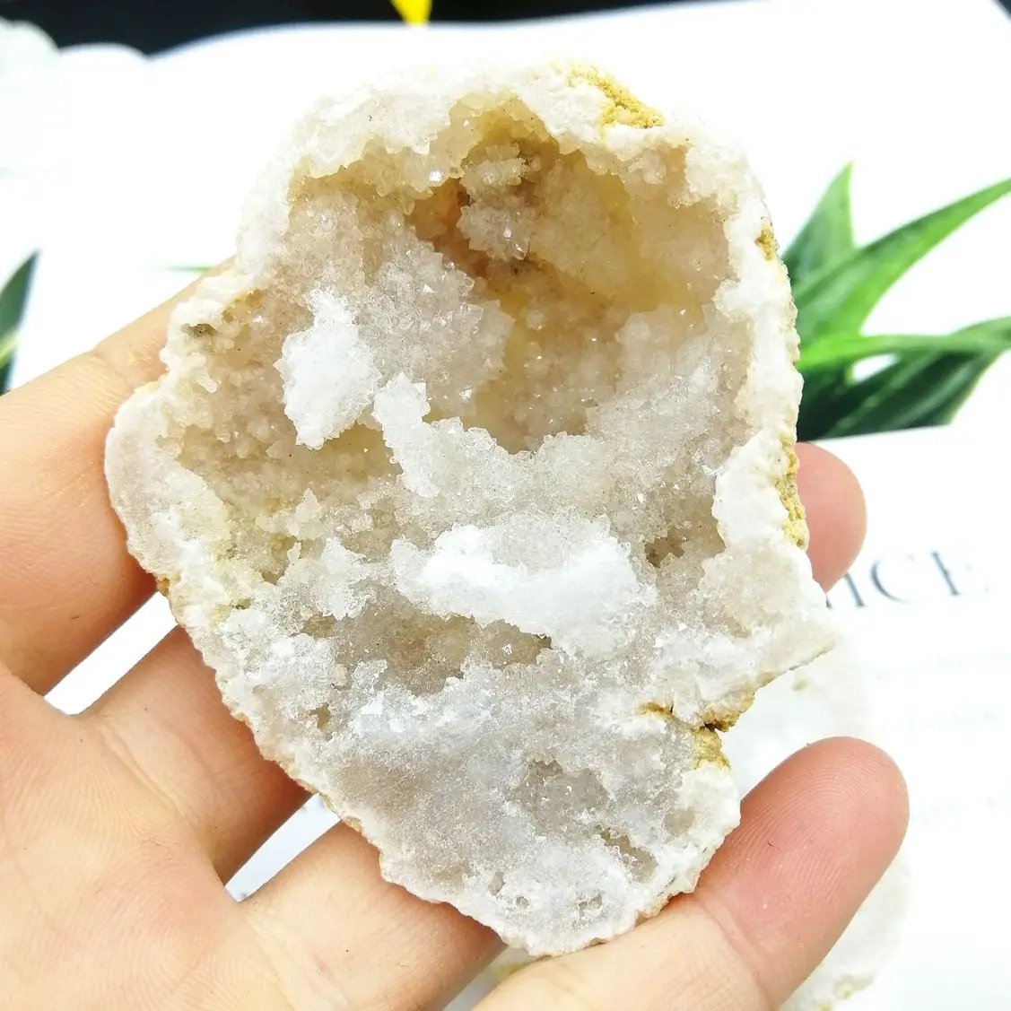

300g Geode Crystal Agate Slice Druzy Crystal Cluster Natural Healing Druse Quartz Cluster Minerals Reiki Healing Crystal Decor