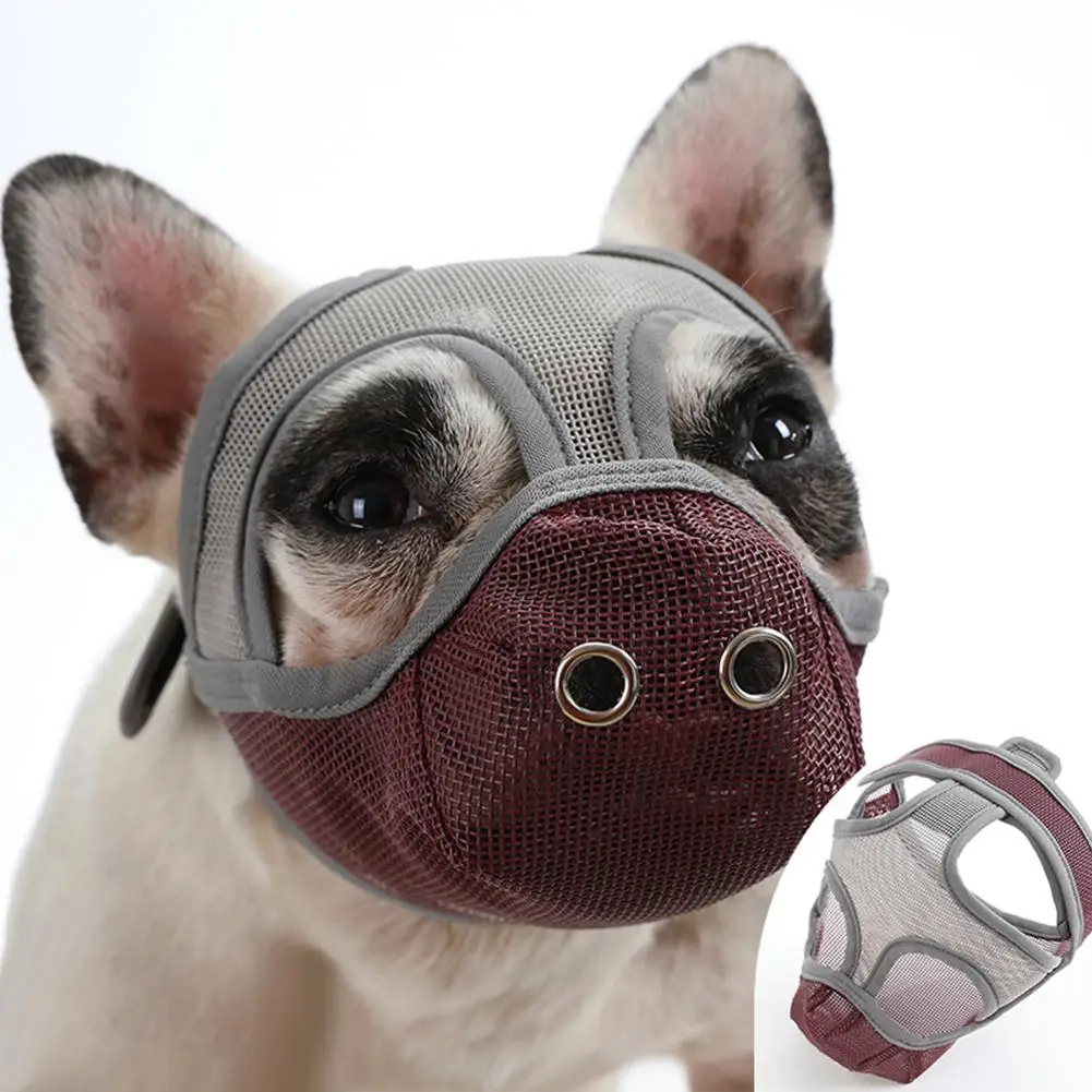 

NEW Pet Dog Muzzles Lightweight Breathable Anti-bite Anti-barking Drinkable French Bulldog Mouth Mask Mouth Cover