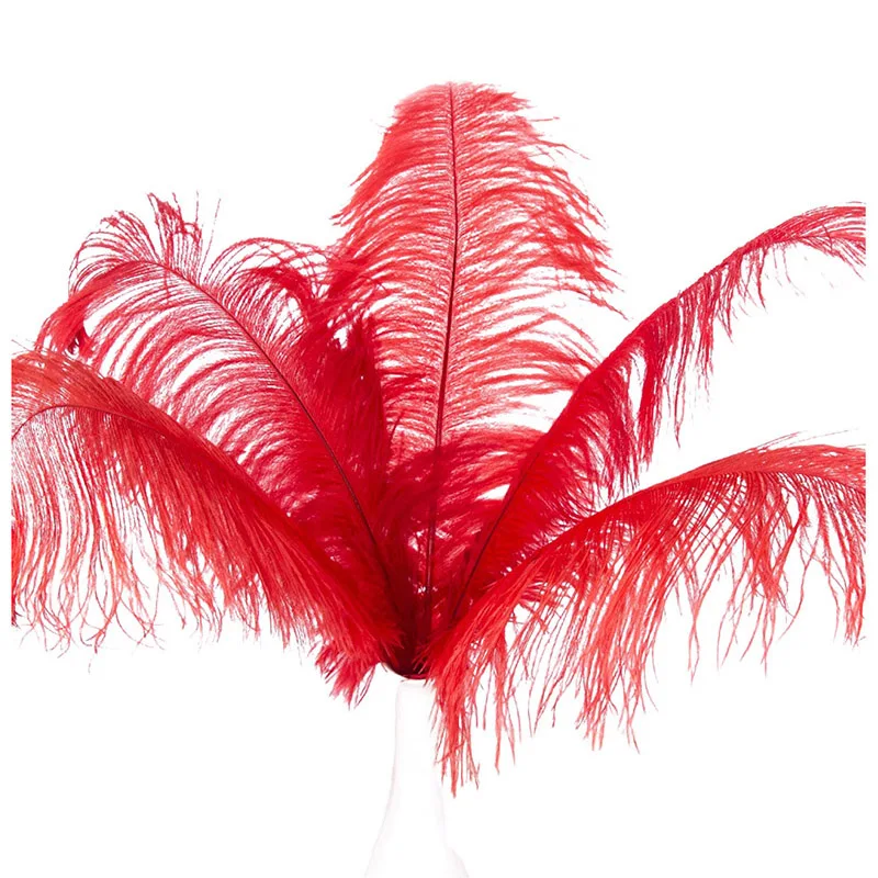 

10 pcs Natural Ostrich Feathers Wedding Party Decoration Red 20-25cm