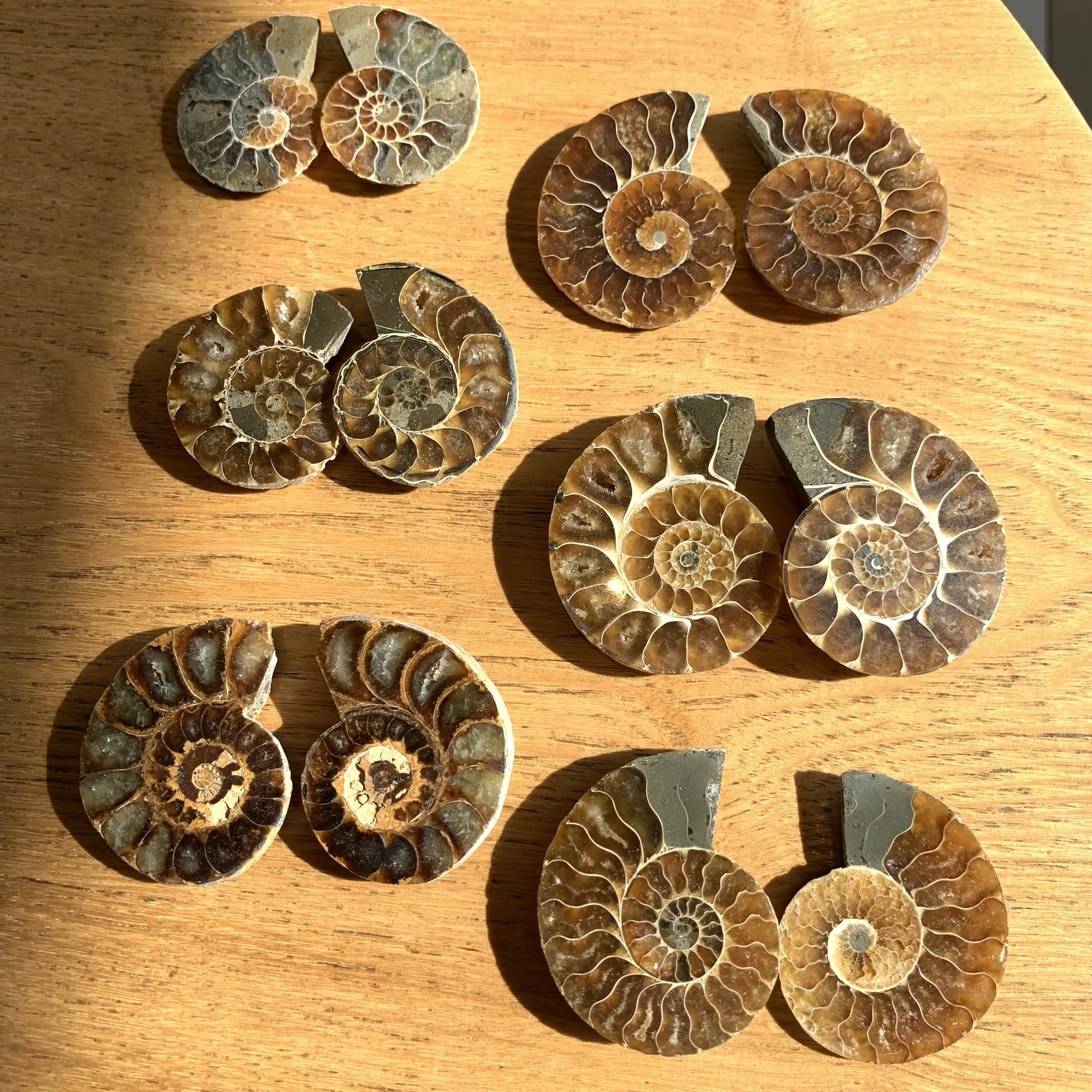 

Natural Conch Snail Pendant Necklace Rough Stone DIY Ornaments Ammonite Slices Polished Split Conch Fossil Pendant For Women Men