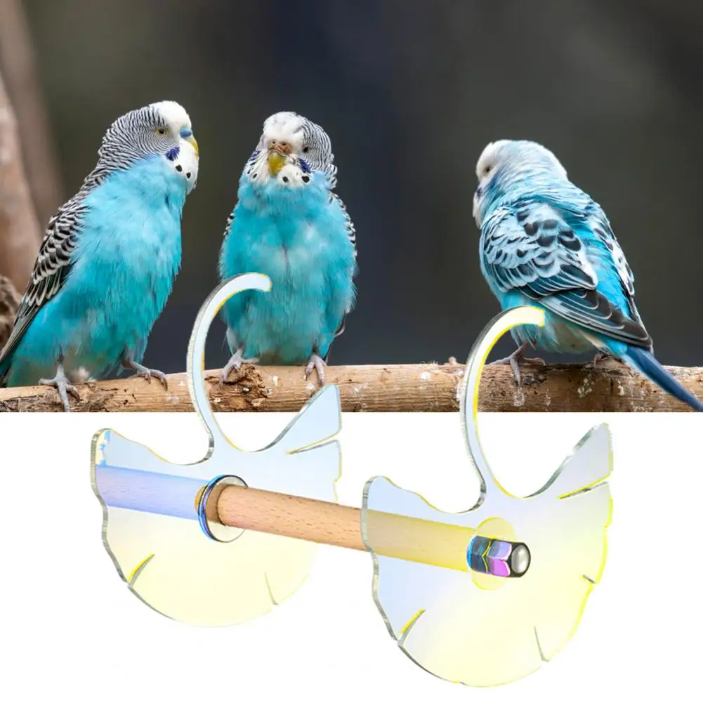 

Безопасные тараканы, тараканы, пусеты, любовь, птицы, попугай, стоячие палочки для попугаев, тонкая работа, подставка для тренировок