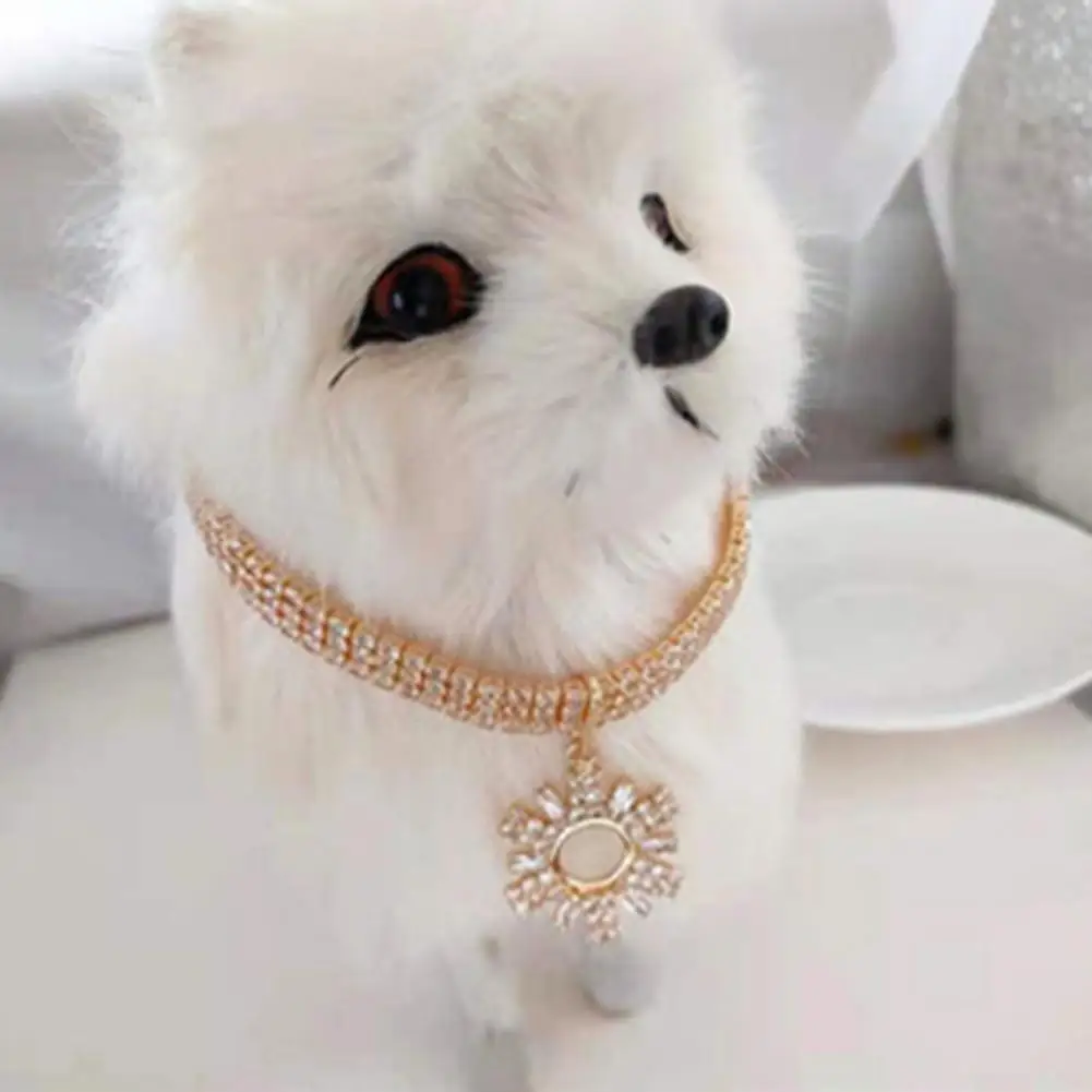 

Portable Convenient Elegant Glossy Surface Dog Necklace Fadeless Puppy Necklace Lightweight for Photography
