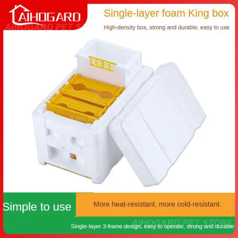 

Mating Kings Box Mating Foam Foam Beehive Toolbox Feeder Pollination Box Beekeeping Tools Breeding Mini