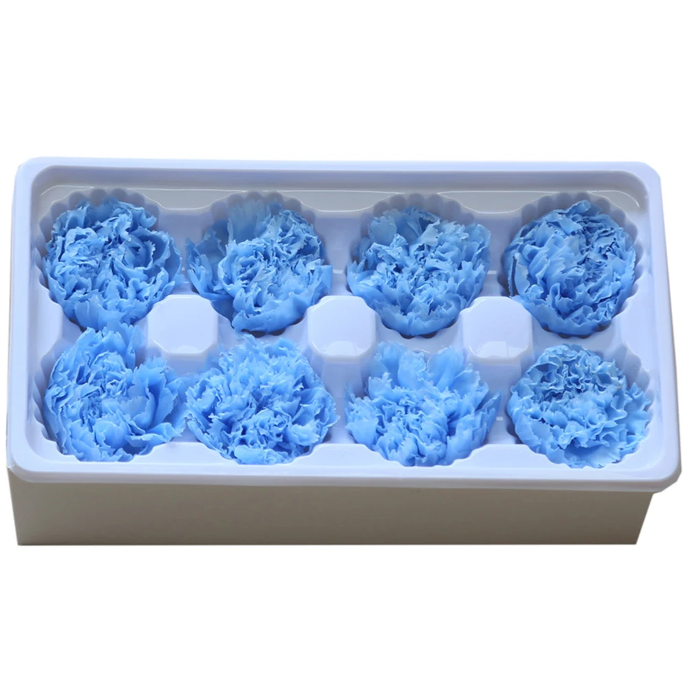 

8pcs/box Eternal Carnation Preserved Flower Heads 4-5cm Real DIY Handmade Material Festival Gift Decor