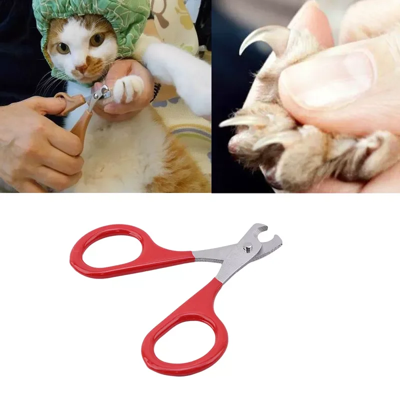 

Nails Scissors Clippers Toe Claw Pet Claw Care Tools Trimmer Pet Supplies Accessories Claw Cleaning Grooming Tools