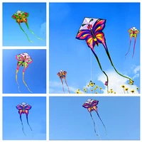free shipping butterfly kites flying outdoor toys for kids kites nylon ripstop albatross kites factory
