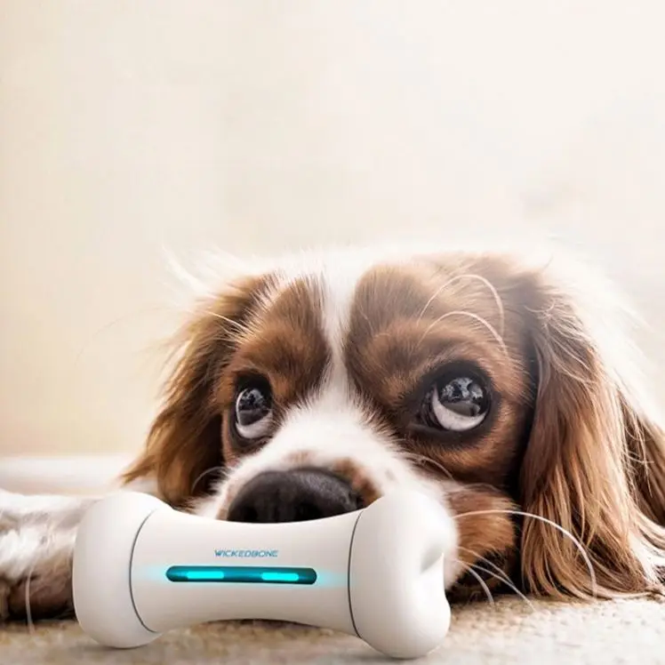 

HTPP electric funny pet smart dog toy educational toys