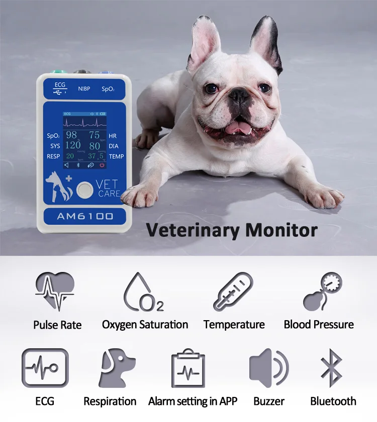 

AM6100 Veterinary Monitor Easy-to-carry Handle Multiple Vital Signs:PR, HR, NIBP(Blood Pressure), Spo2, Resp(Respration), TEM