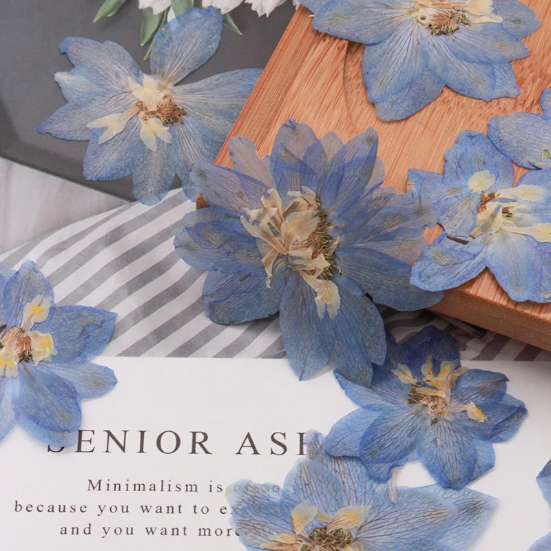 5~7CM/12PCS Real Natural Dried Pressed Delphinium Ajacis Flowers Heads In Blue For DIY Craft Resin Jewellery Candle Making - купить по
