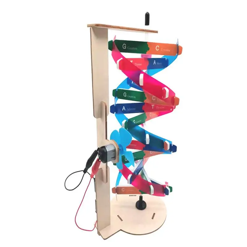 

Набор детских моделей DNAs, автоматическая Вращающаяся конструкция DNAs, обучающая игрушка с генами человека, помощь при моделировании DNAs и зав...
