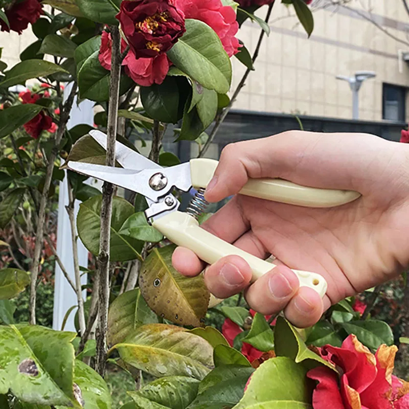 

Shear Gardening Fruit Tree Pruning Shears Stainless Steel Grafting Tool Gardening Pruning Shear Scissor Branch Tool