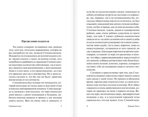 Книга Гессе Г. Степной волк | Канцтовары для офиса и дома