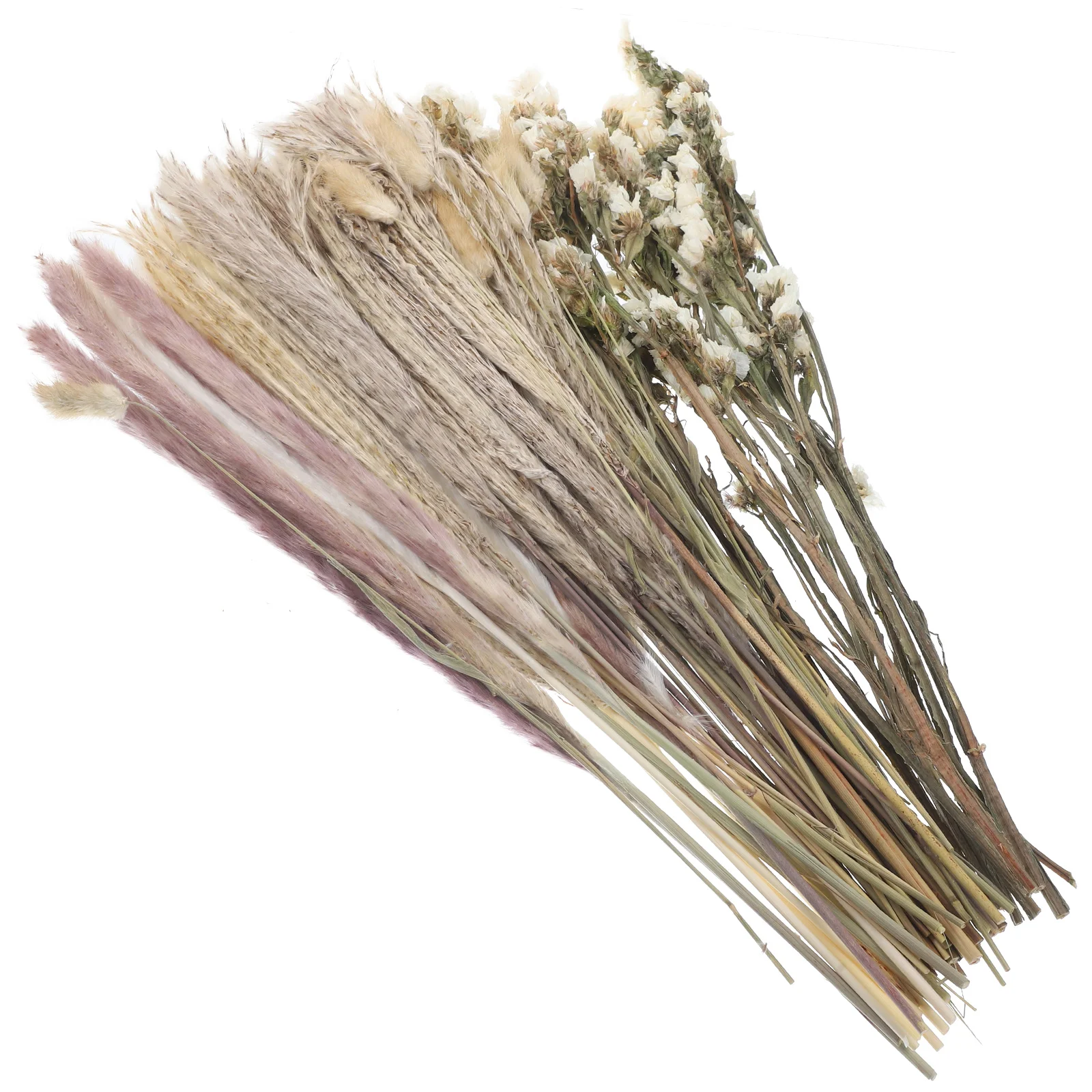

Dried Reed Pampas Decor Flower Diy Branches Natural Pompass Eternal Props Vase Flowers Bouquets Reeds Bouquet Layout Home decor