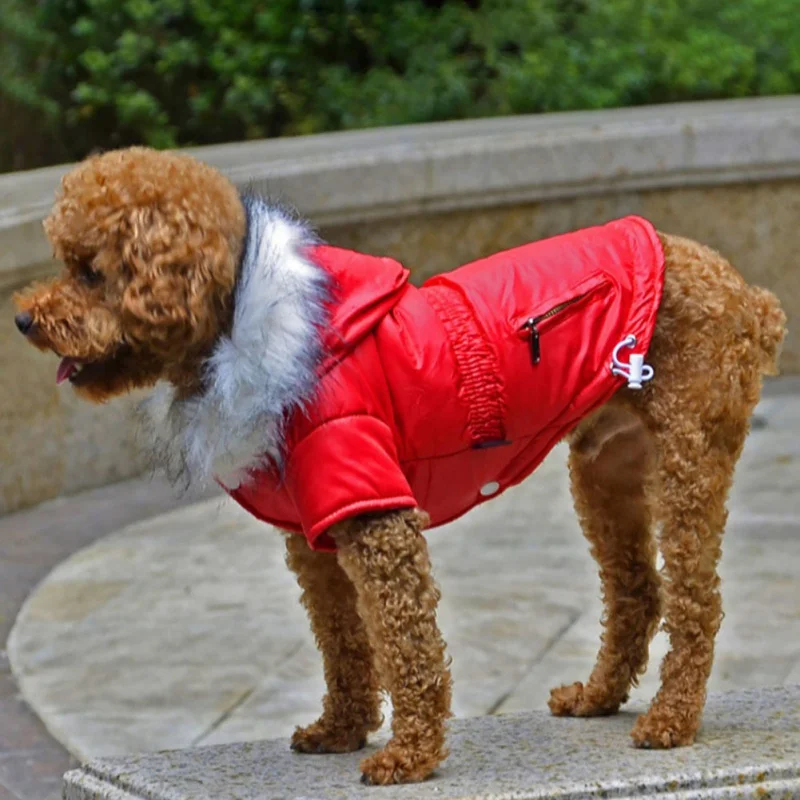 

Winter Pet Dog Clothes Warm Hooded Casual zipper Coat Small Dog Coat For Chihuahua Soft Fur Hoodies Puppy Dog Jacket Clothing