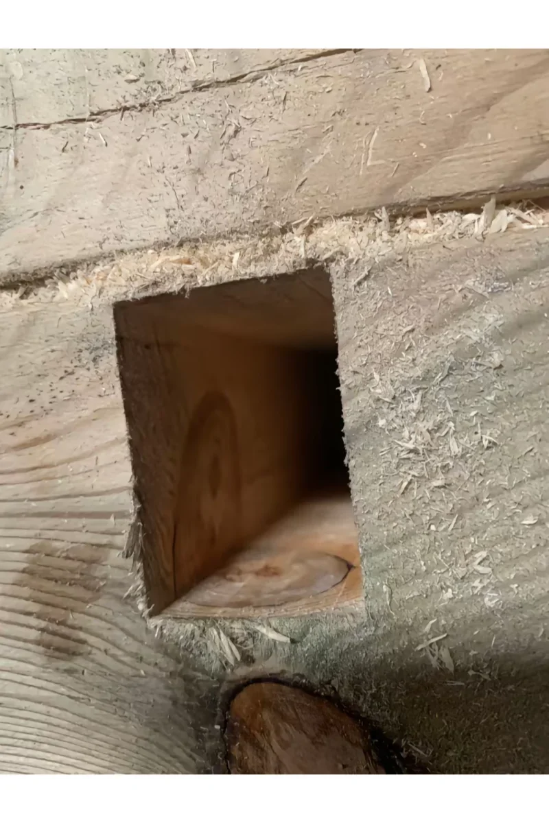 С хорошим качеством продукта долото долбежный станок для цепи древесины