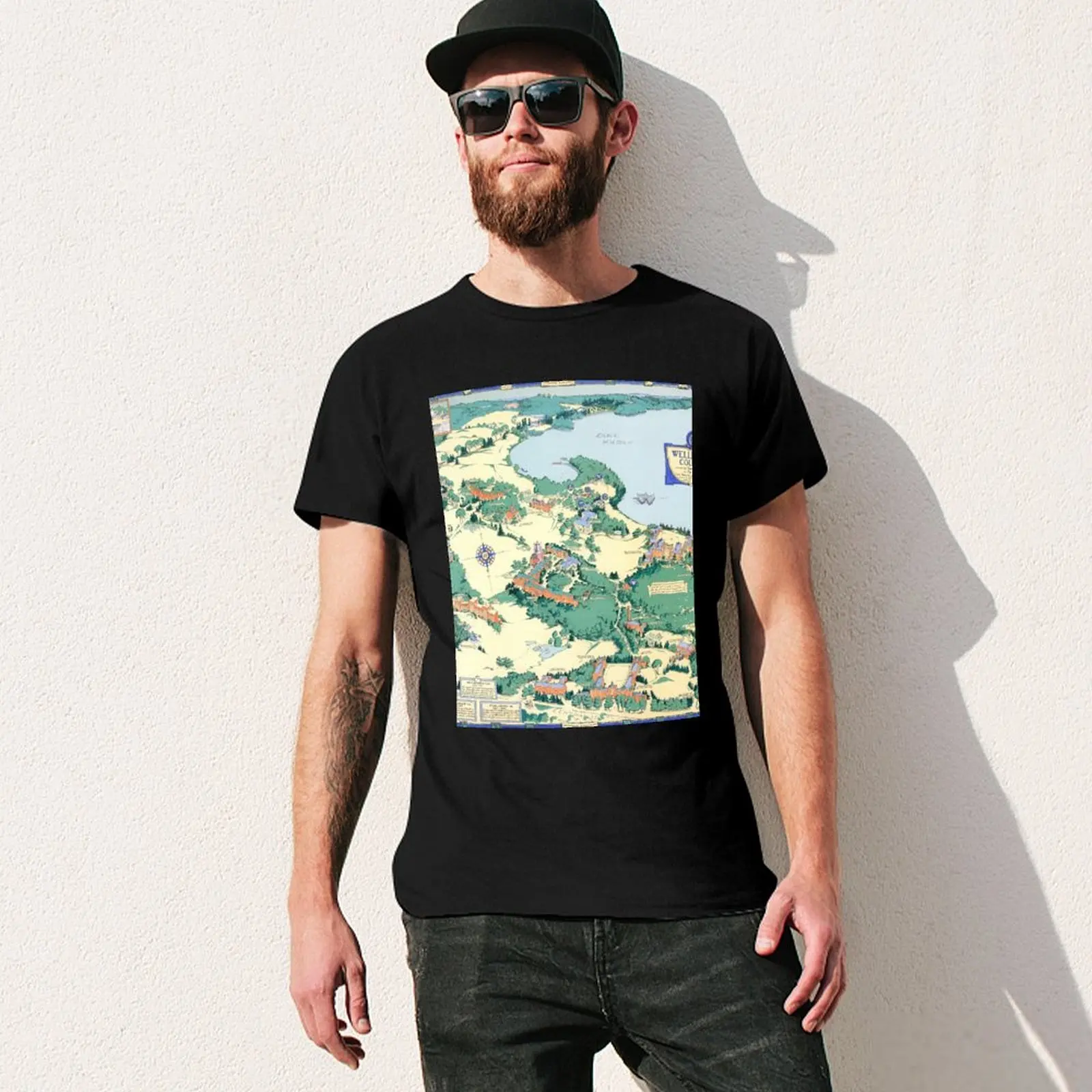 WELLESLEY карта колледжа MASSACHUSETTS декор в общежитии футболка для выпускников