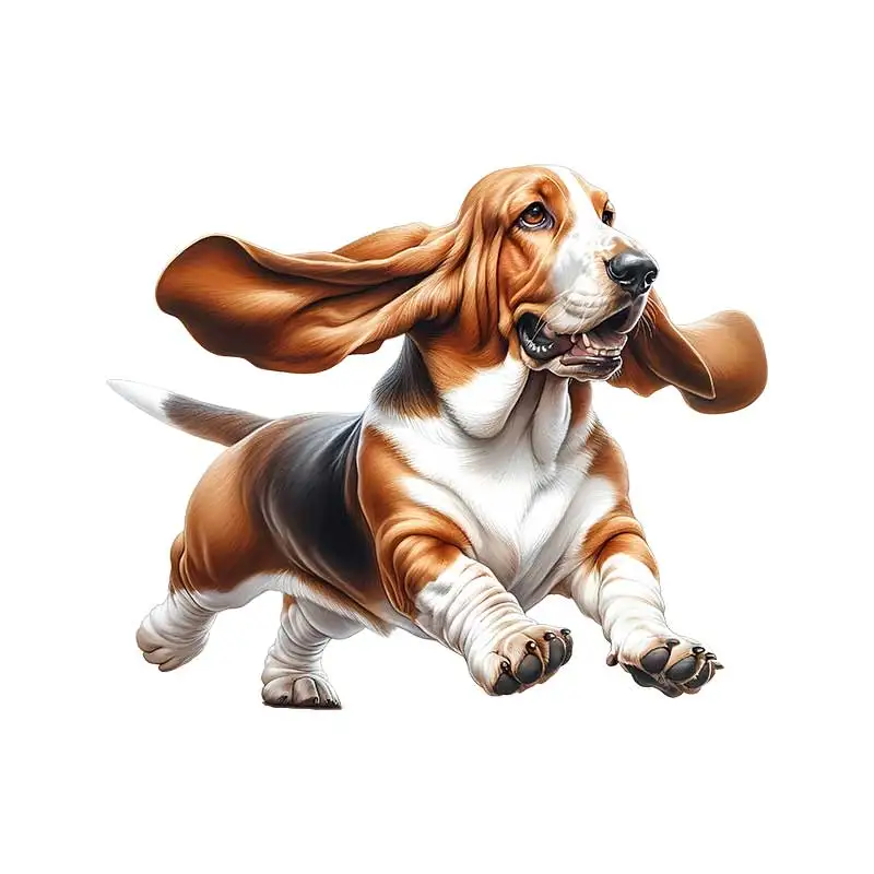 

Наклейки на стену Bassett Hound ПВХ