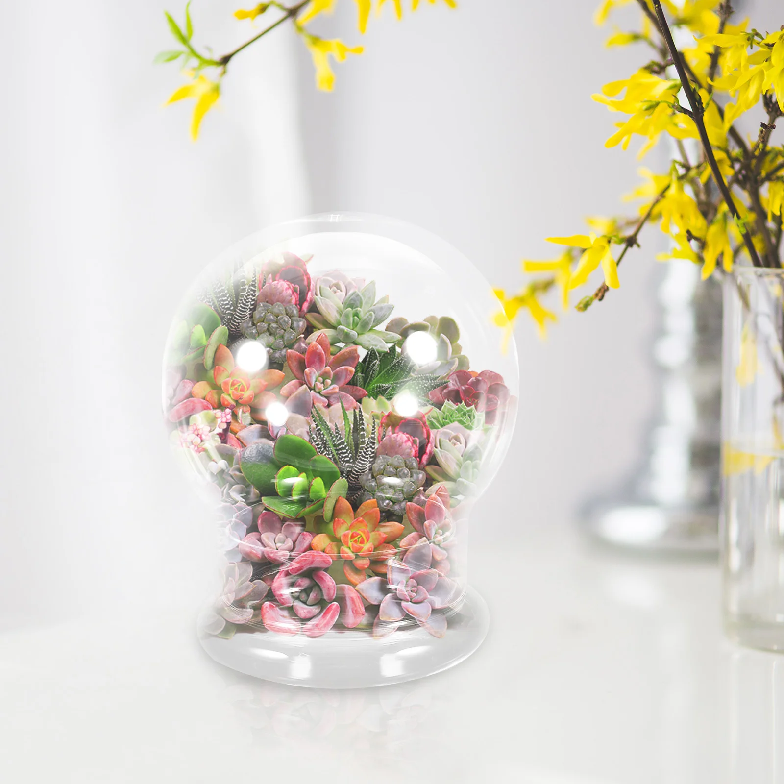 Пейзаж экологическая бутылка террариум банка микро-сделай сам колокольчик