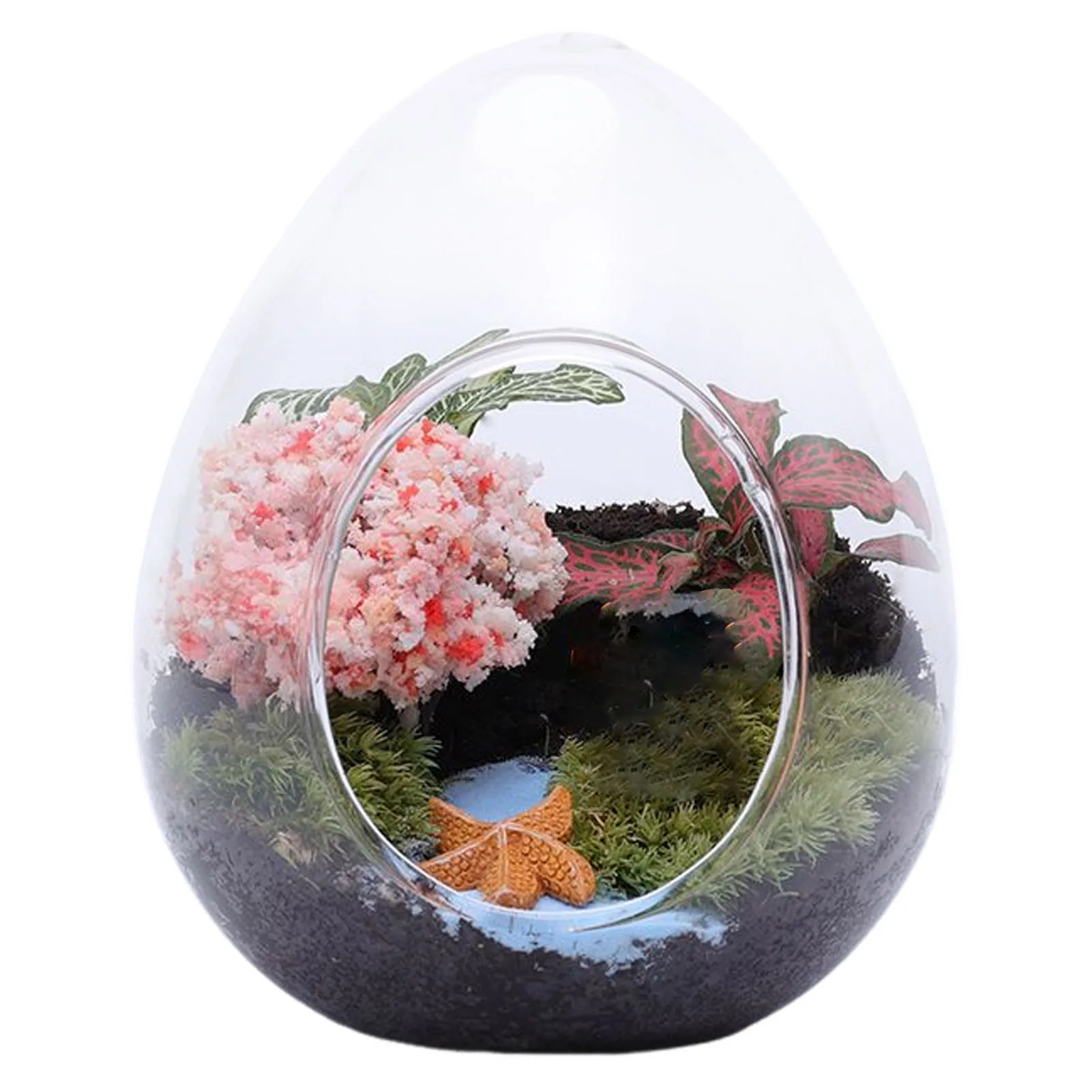 

Стеклянная ваза ACRDDK форма яйца для суккулентов