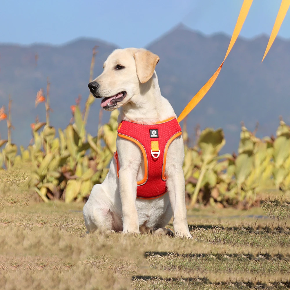 

New Pet Hand Holding Rope Breathable Mesh Dog Breast Strap Small and Medium-Sized Dogs Pet Harness Wholesale