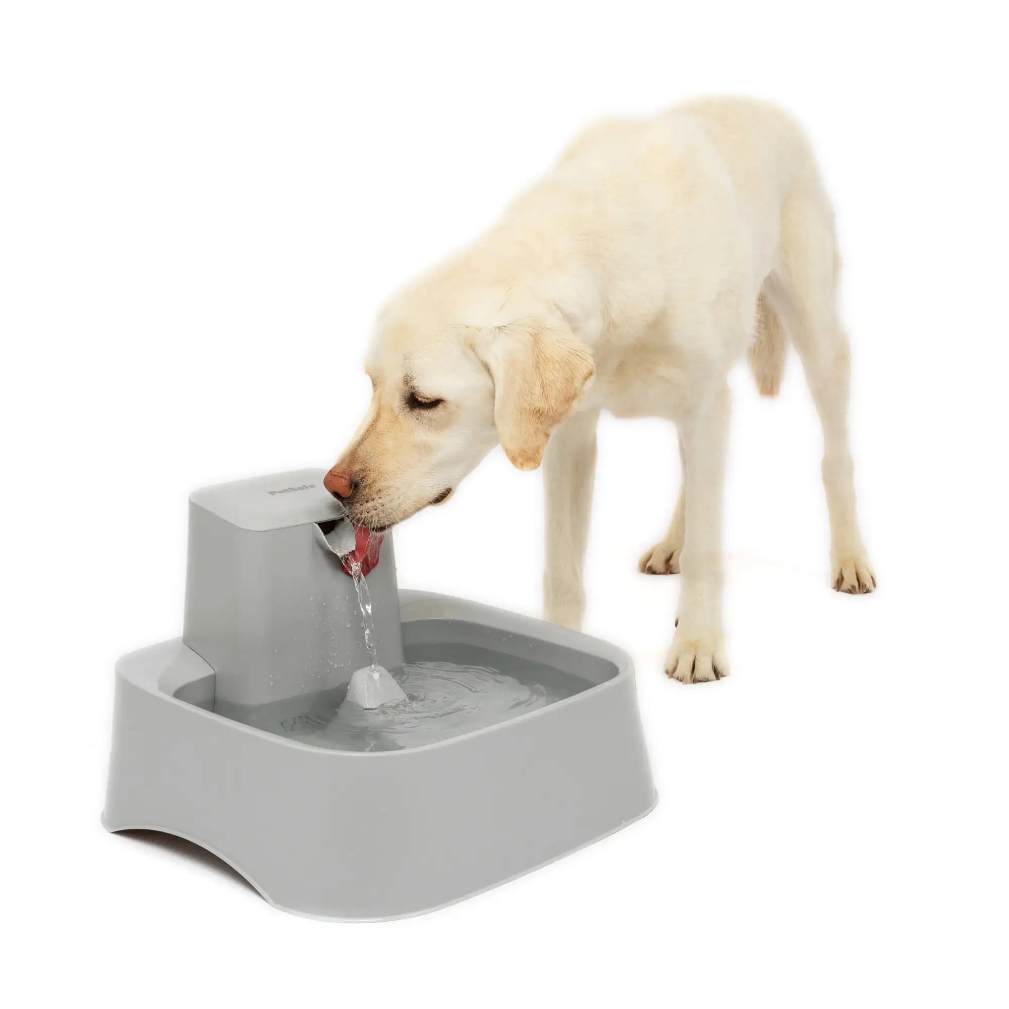 

2 Gallon Fountain - Automatic Water Bowl for Large Dogs