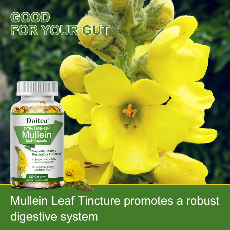

Natural mullein extract capsules, gentle lung clearing, healthy breathing, detoxification and immune system supplements