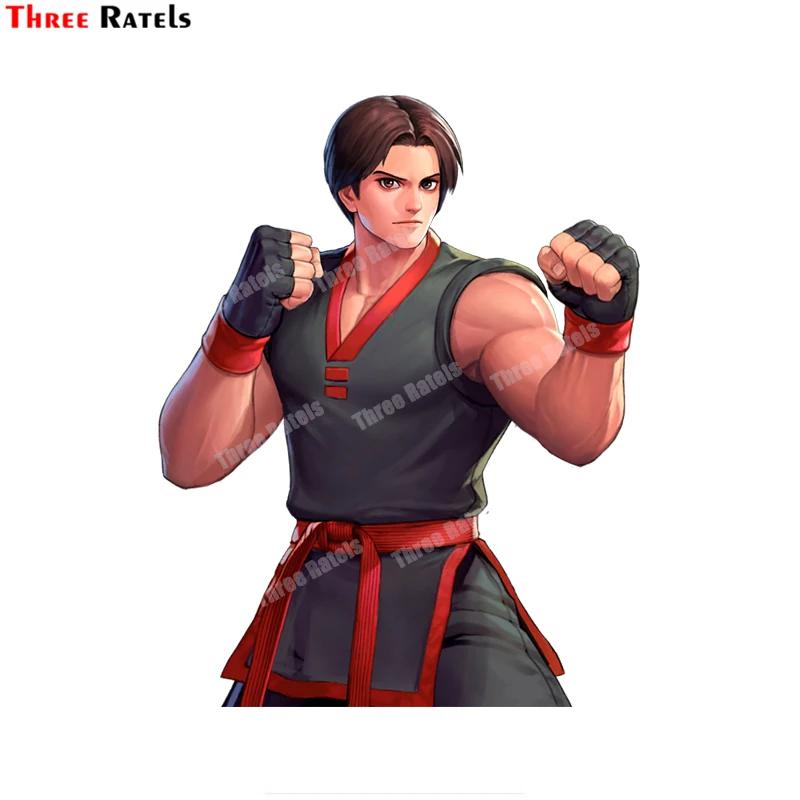 

Наклейки и Переводные картинки Three Ratels B564, Ким кафвань, Иори Ягами и Орочи KOF97 для Passat B5