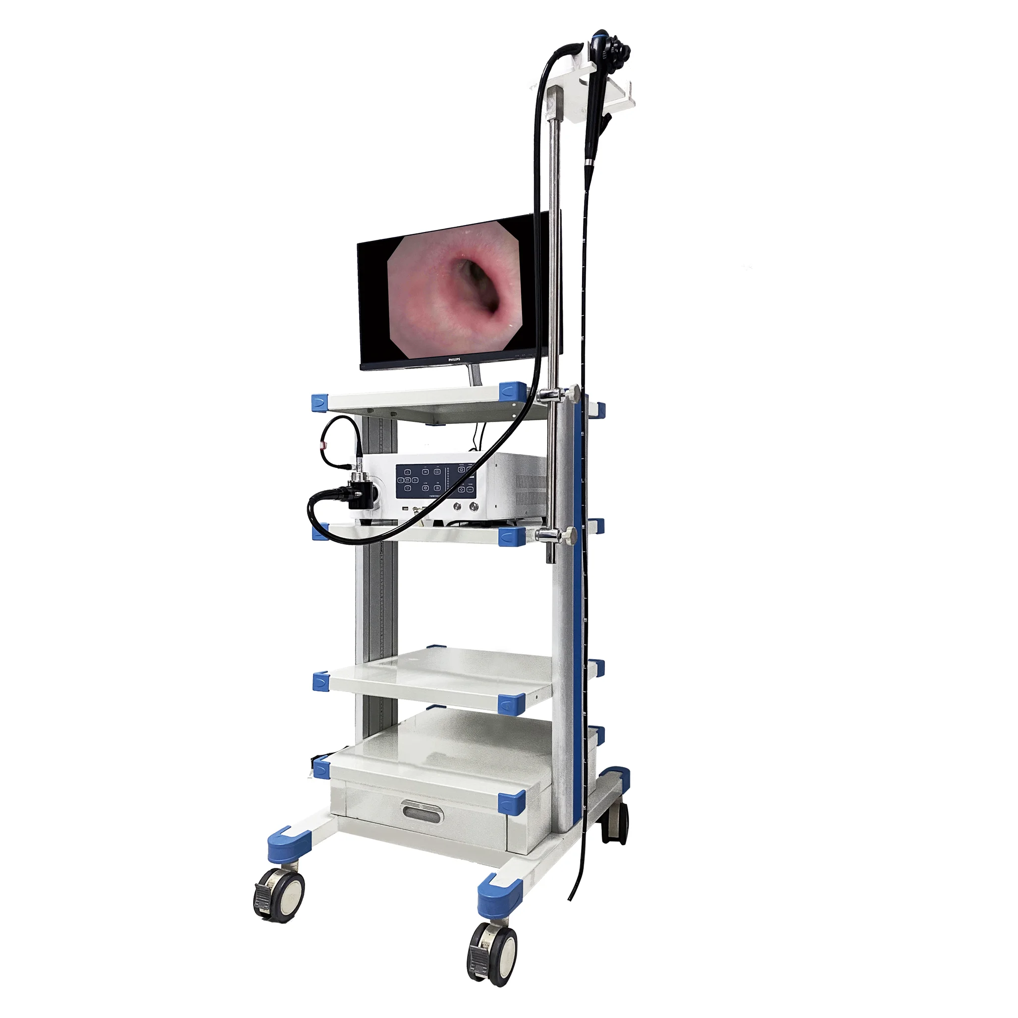 DARPPON Видеоколоноскоп и видеогастроскоп