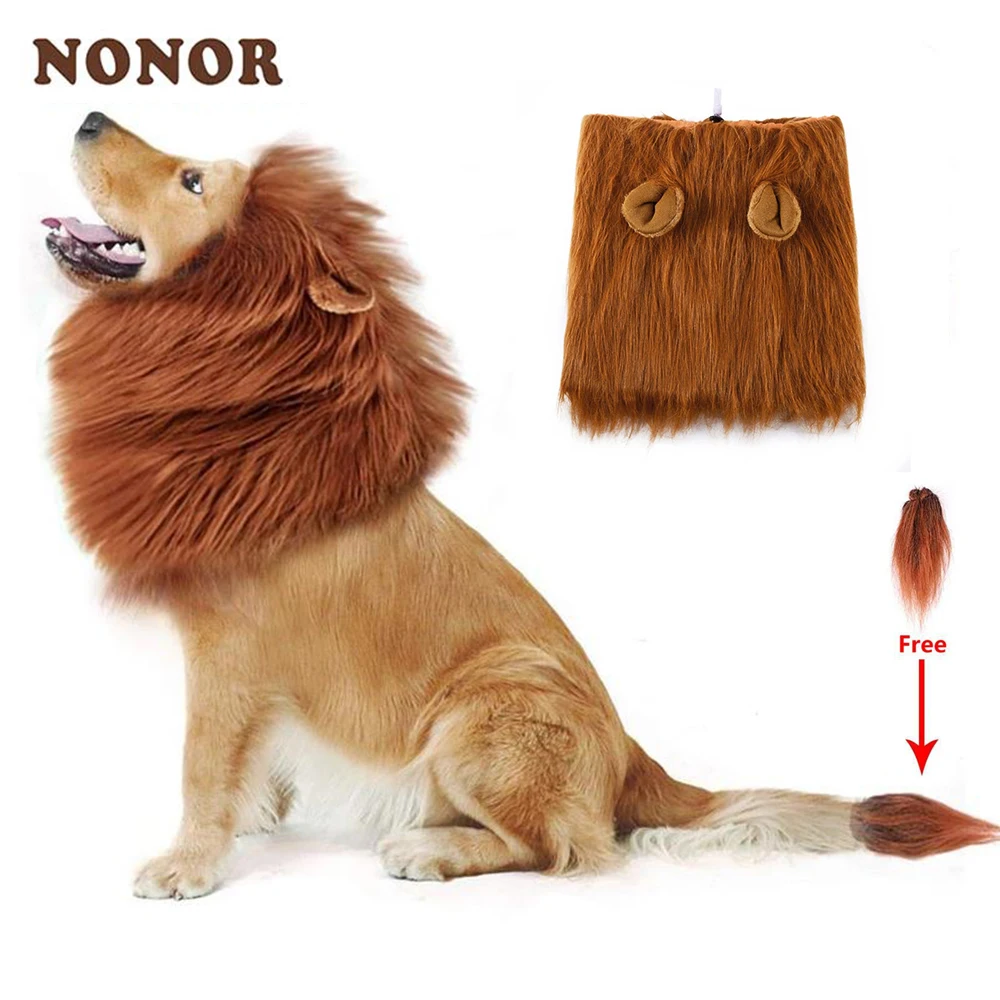 Lion Mane for Large Dogs 1