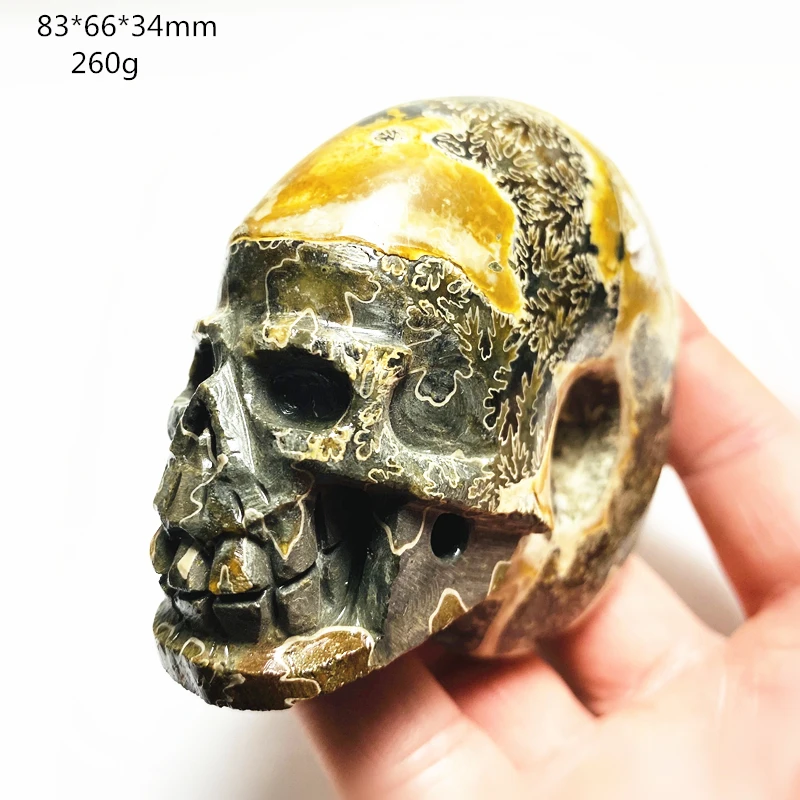 

Природный мадагаскарский аммонит, ископаемый минеральный образец, искусственный кристалл, украшение для дома