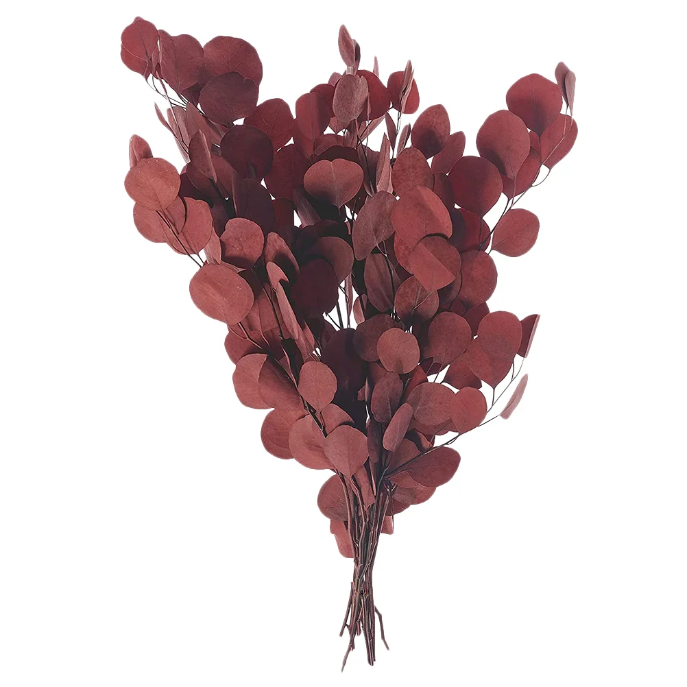 

Eucalyptus Dried Leaves Stems Flower Fake Flowersartificial Branches Real Wedding Spray Leaf Dollar Bouquet Decorations Vase
