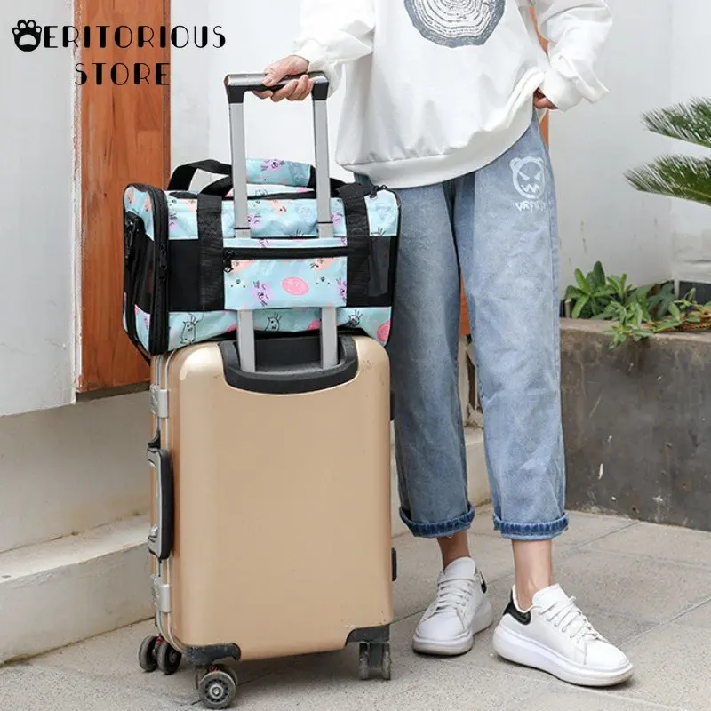 Переносная сумка для щенков собак кошек котят летняя воздухопроницаемая